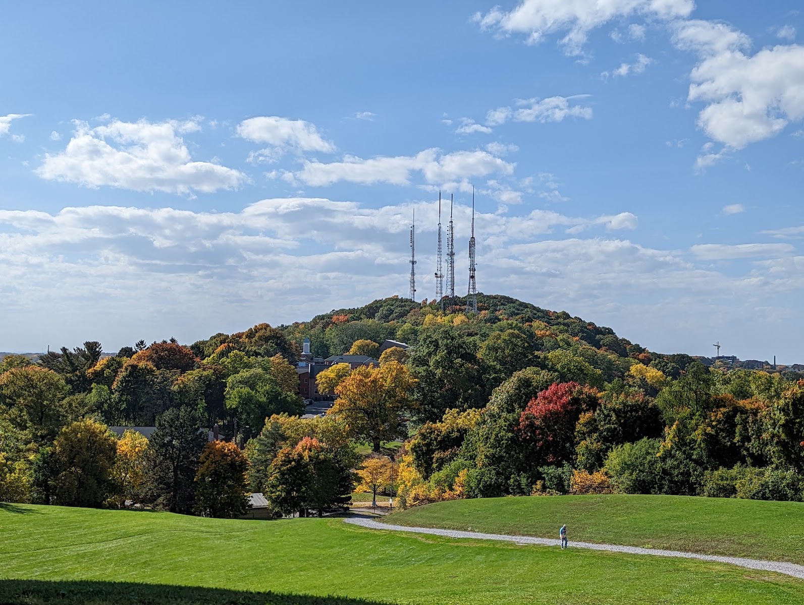 Cobbs Hill Park