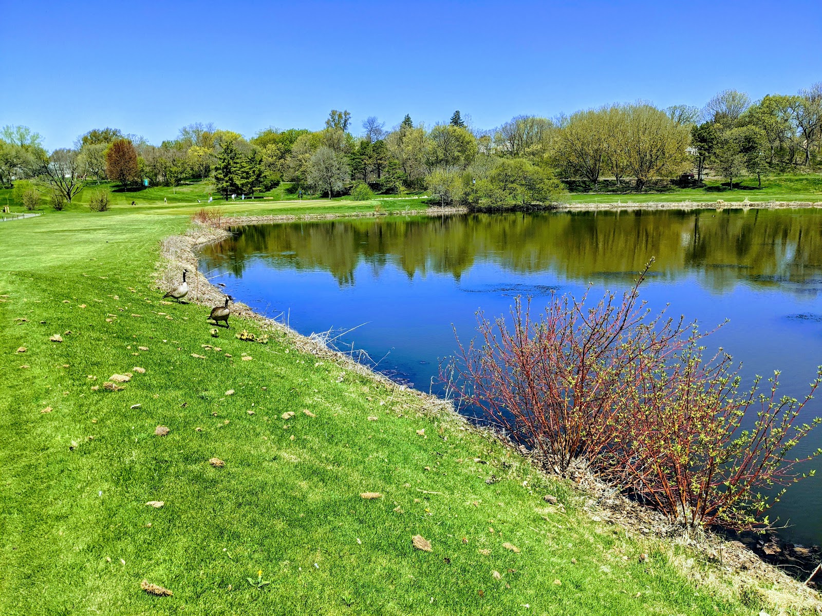 Como Park Golf Course