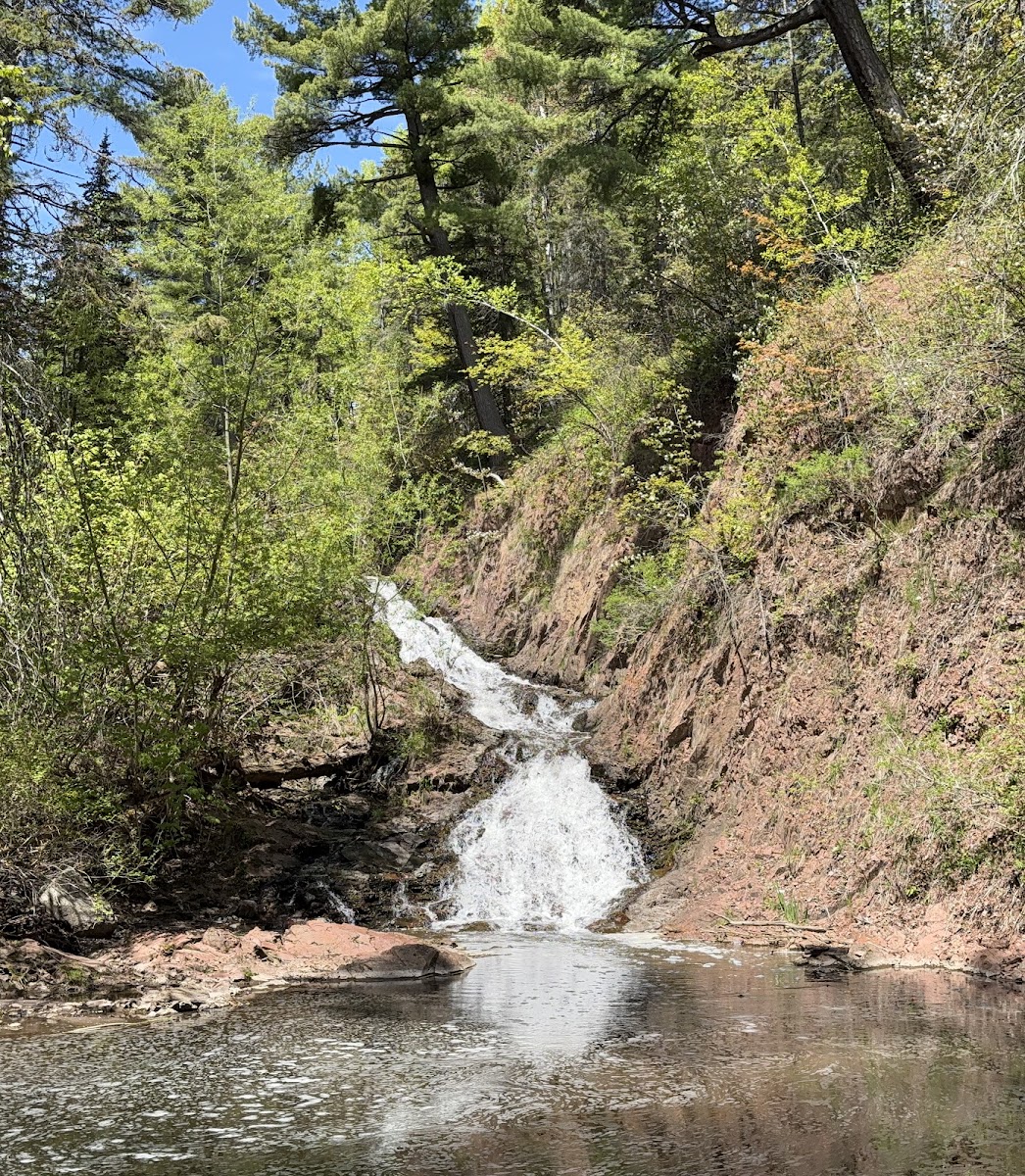Congdon Park
