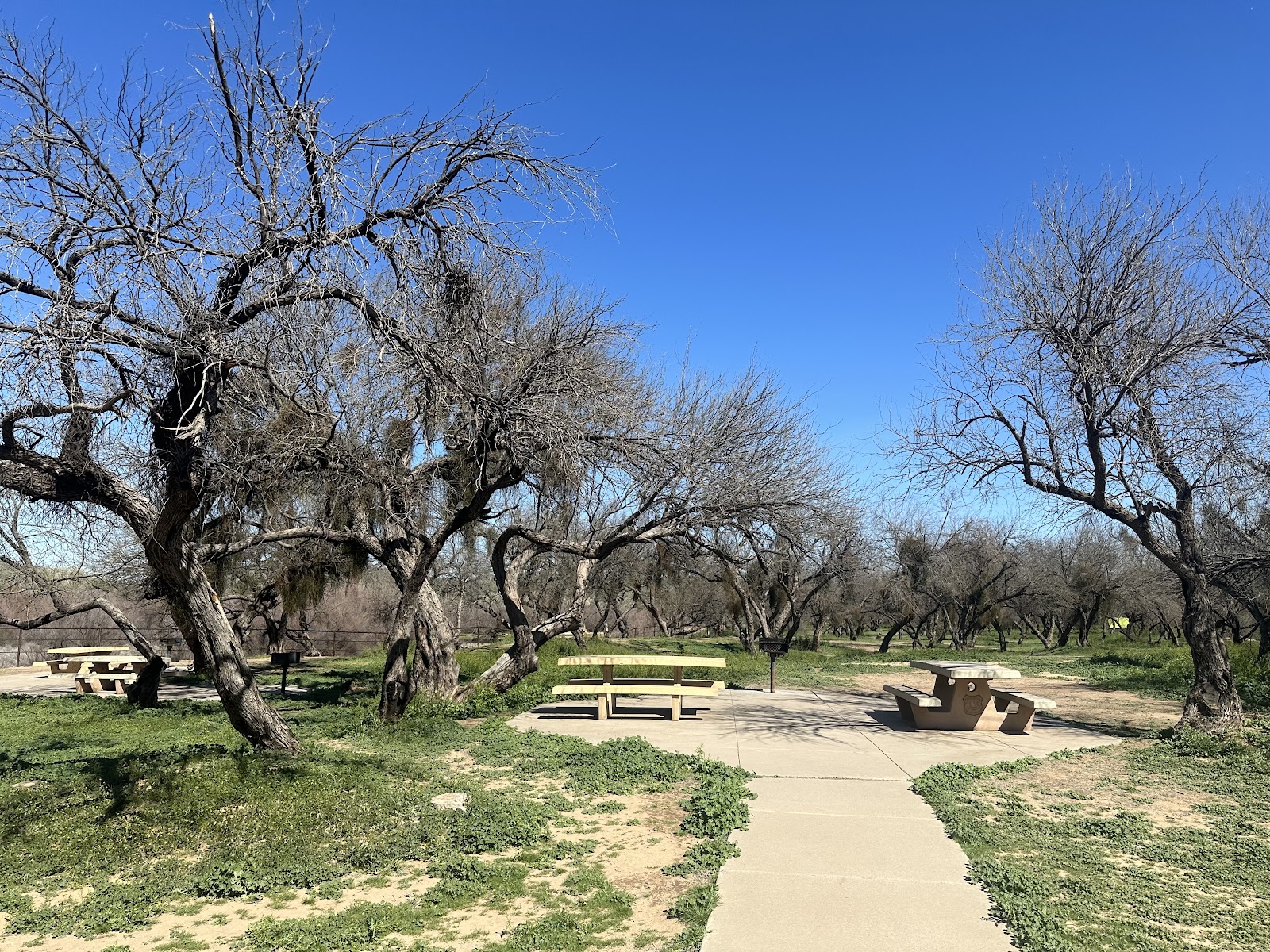 Coon Bluff Recreation Area