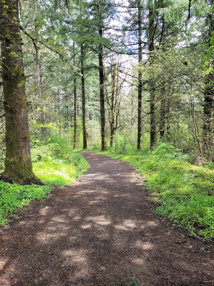 Cooper Mountain Nature Park