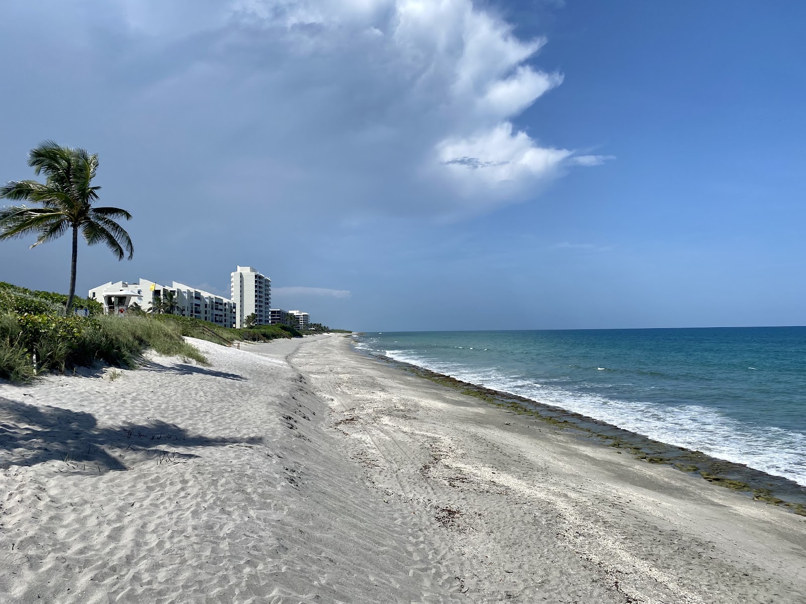 Coral Cove Park