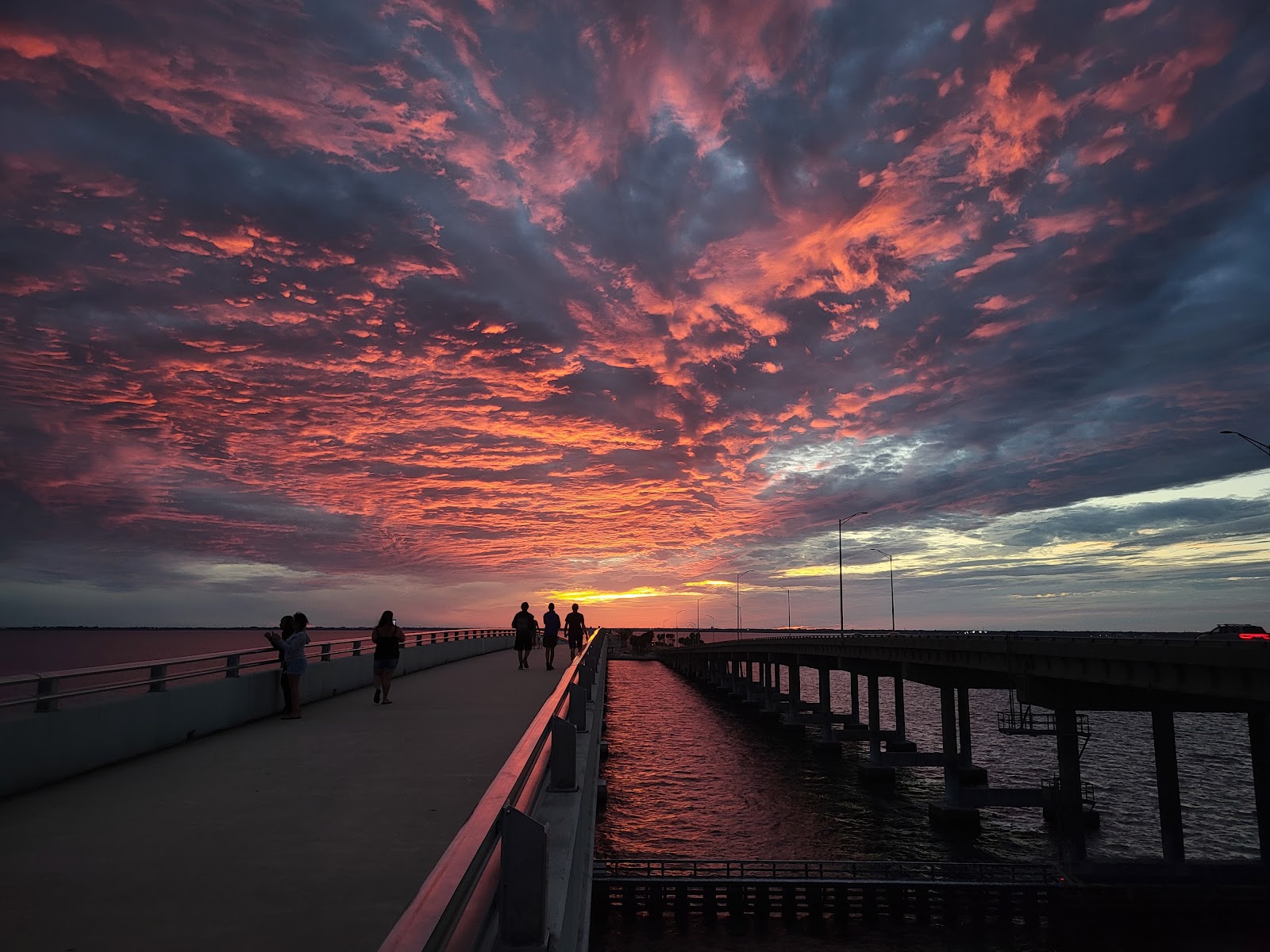 Courtney Campbell Causeway Trail