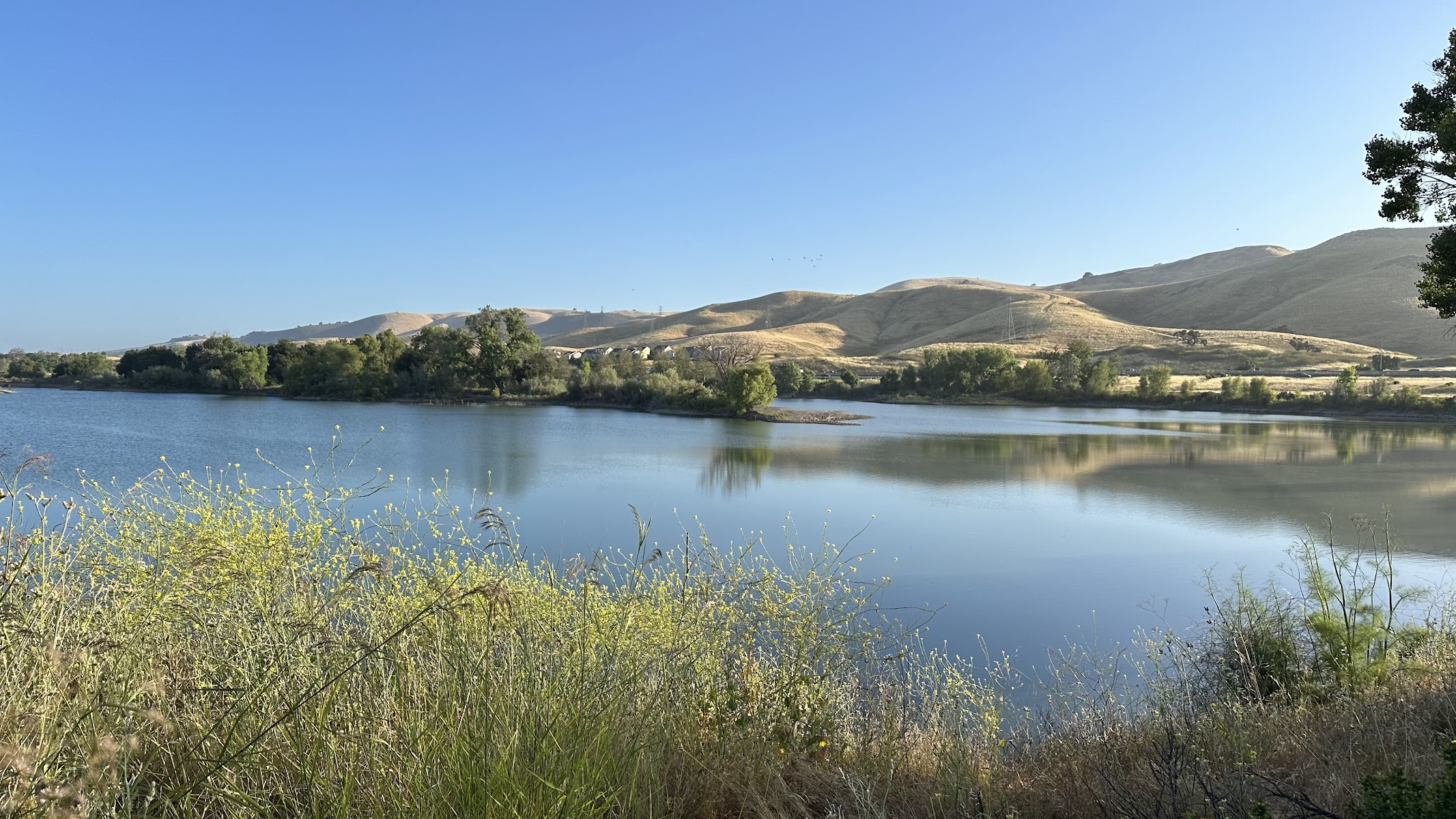 Coyote Creek Parkway