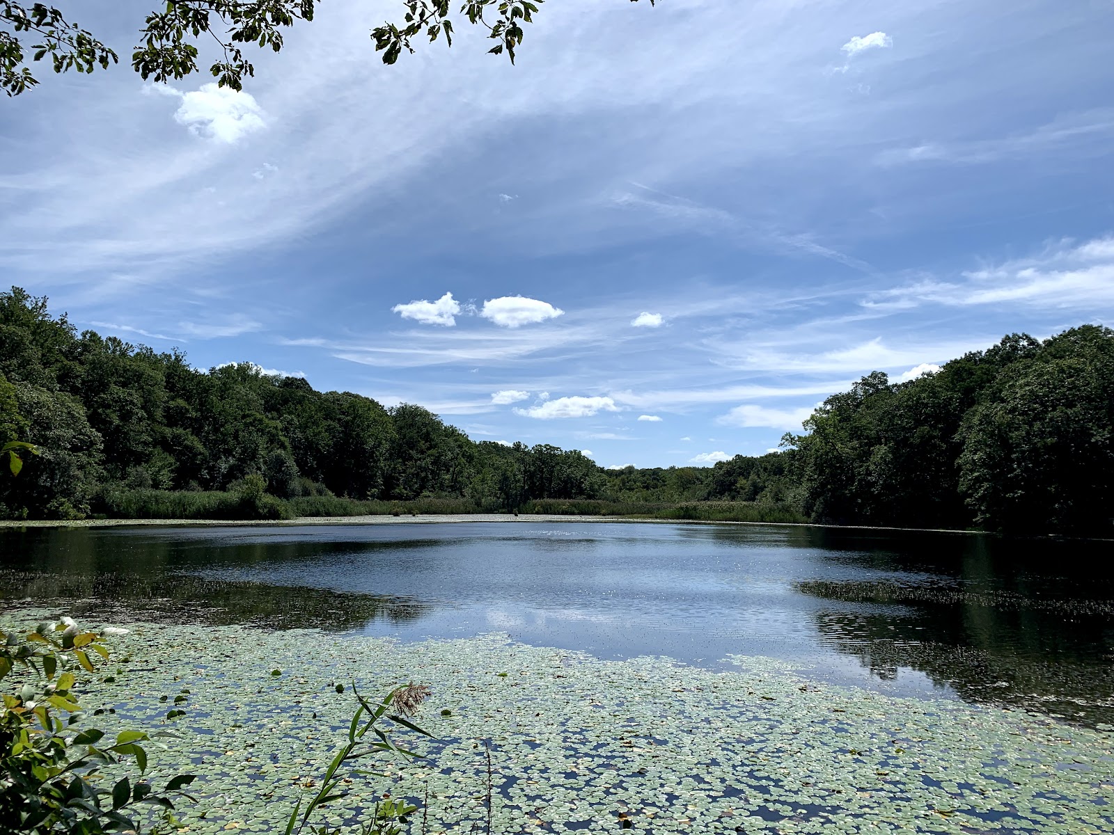 Cranberry Lake Preserve
