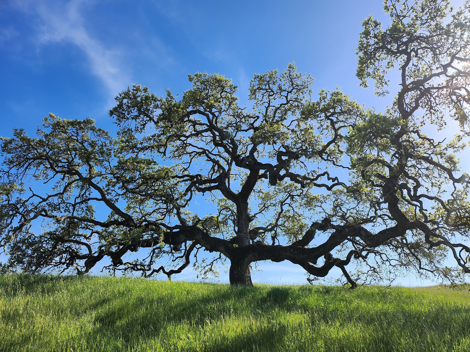 Crane Creek Regional Park