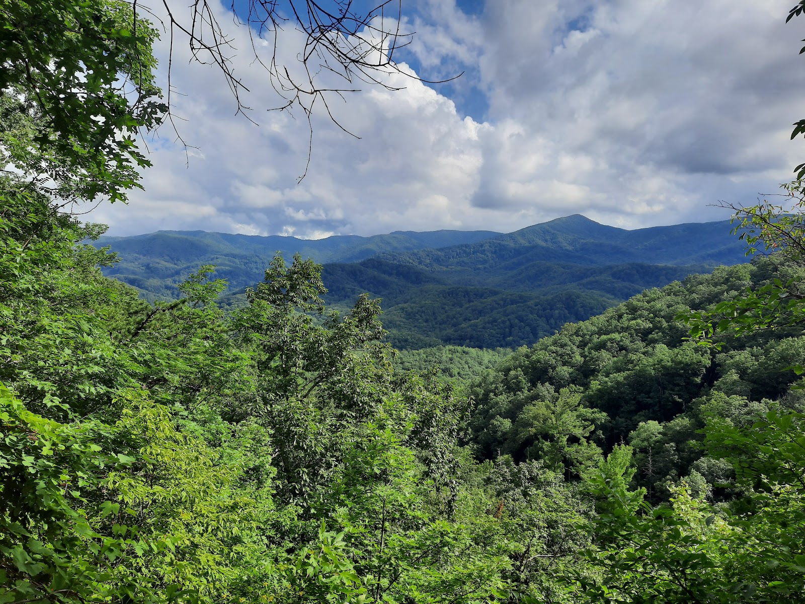Craven Gap Trail