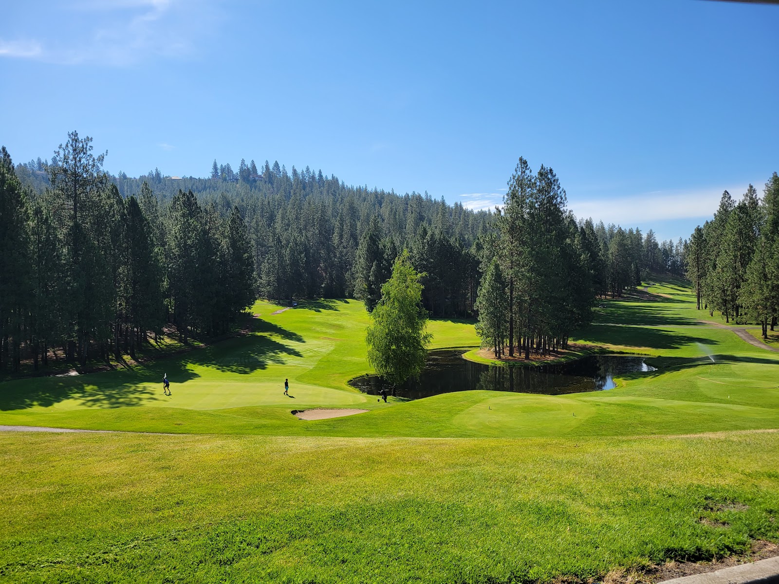 Creek at Qualchan Golf Course
