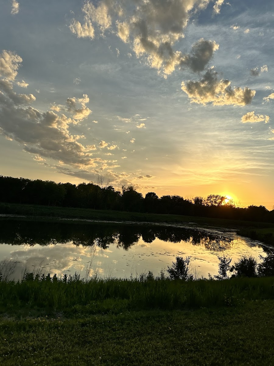 Cricket Creek County Forest Preserve