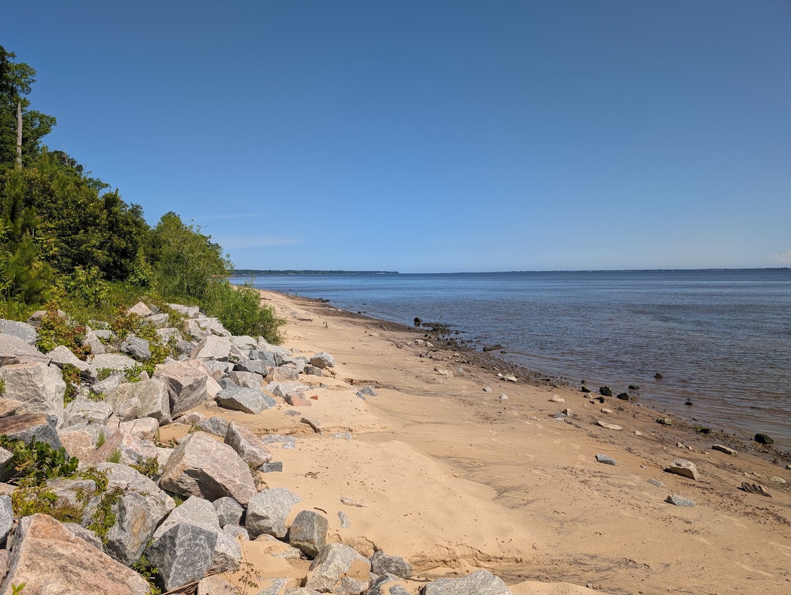 Croatan National Forest