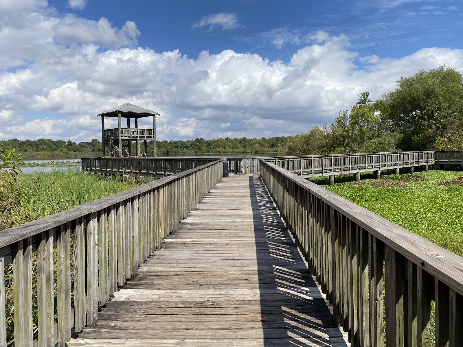 Cullinan Park