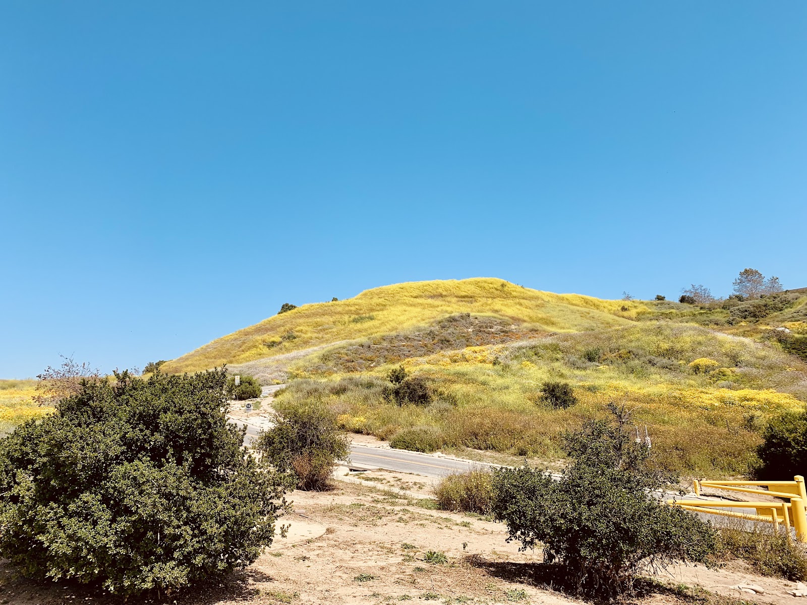 Culver City Stairs