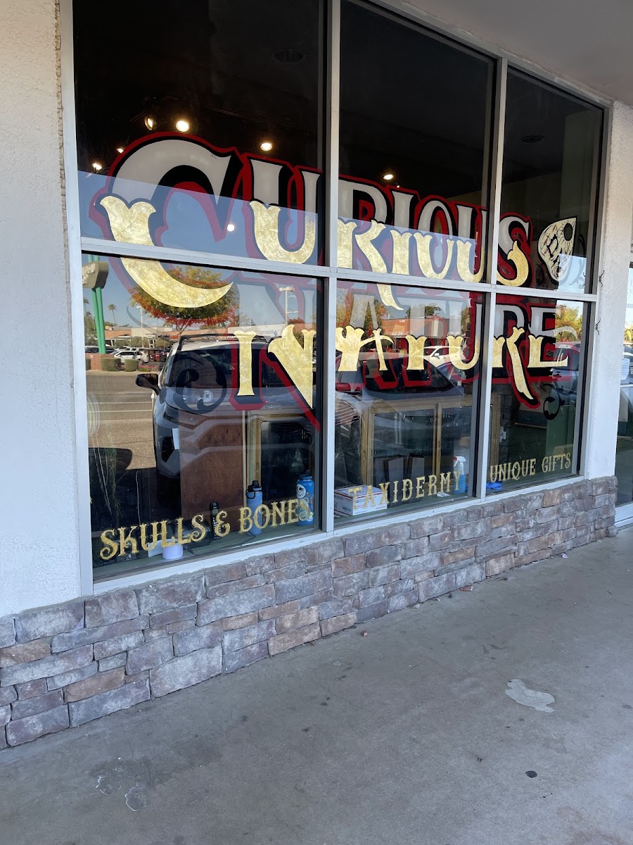 Curious Nature