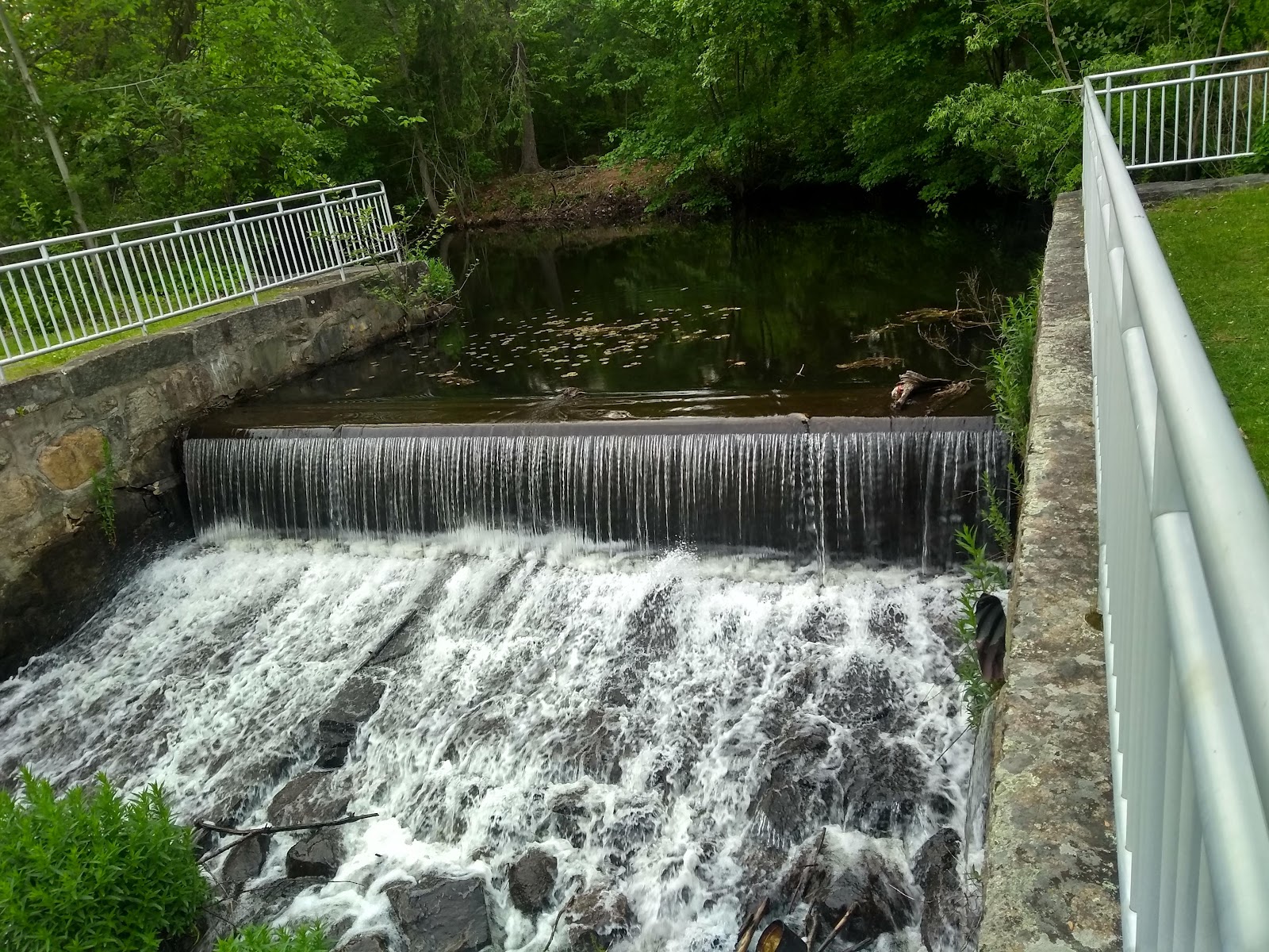 D.W. Field Park