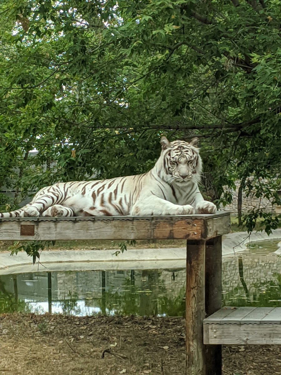 Dakota Zoo