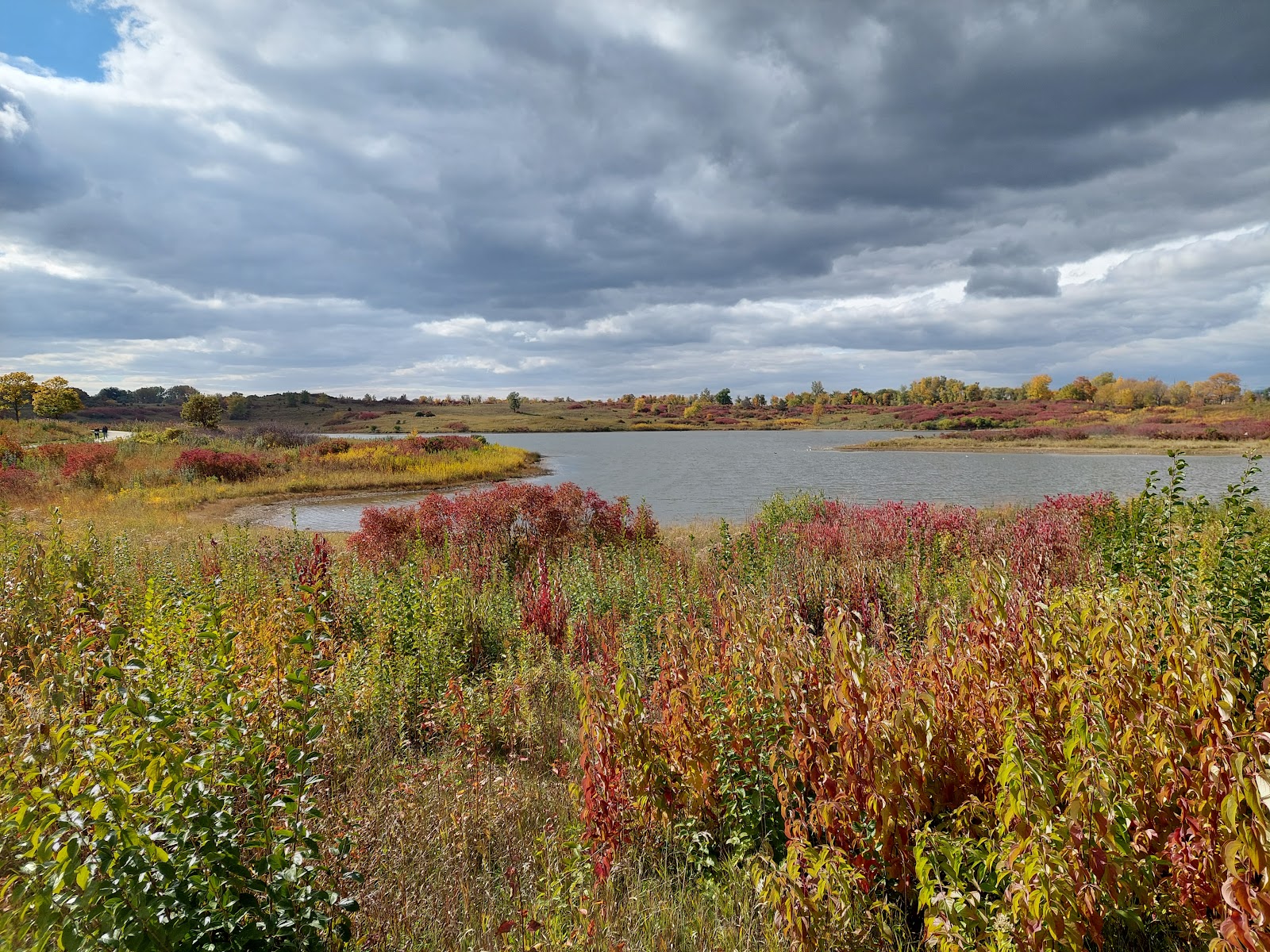 Danada Forest Preserve