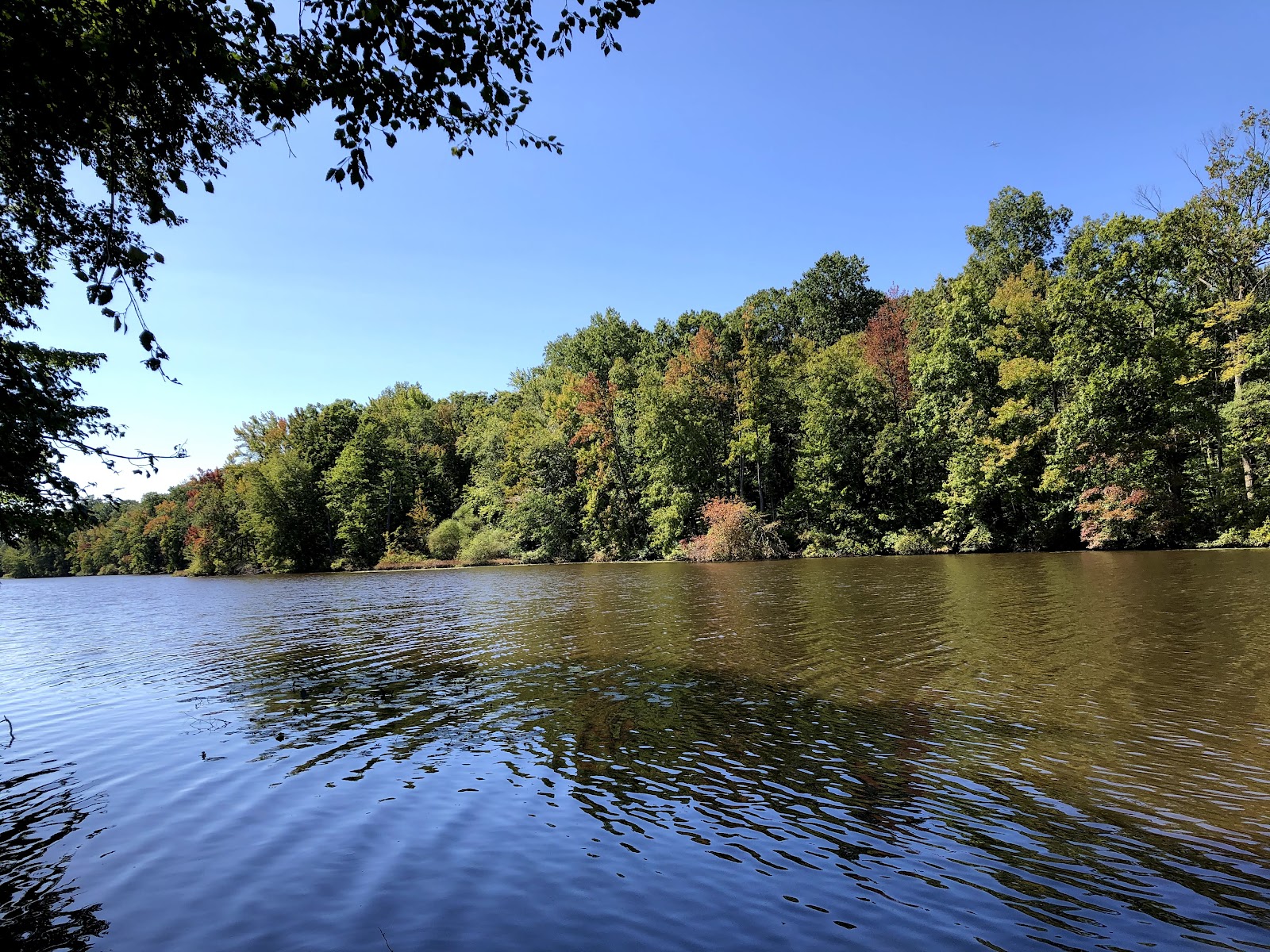 Davidson's Mill Pond Park