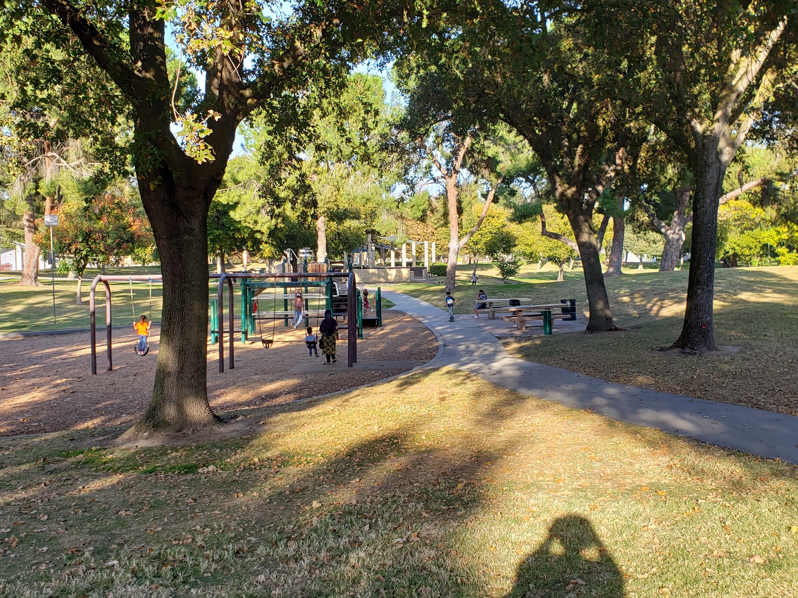 Davis Community Park