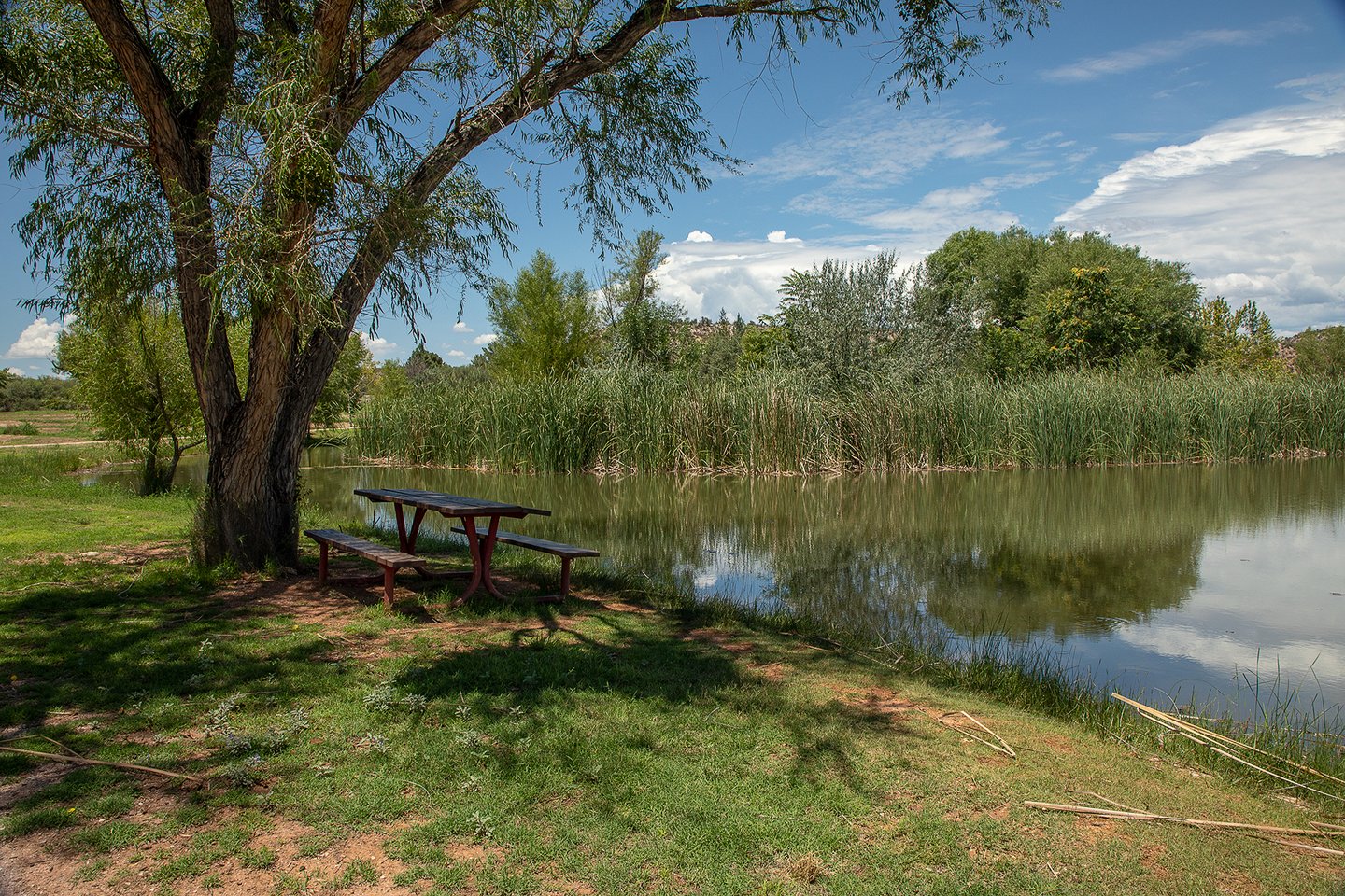 Dead Horse Ranch State Park