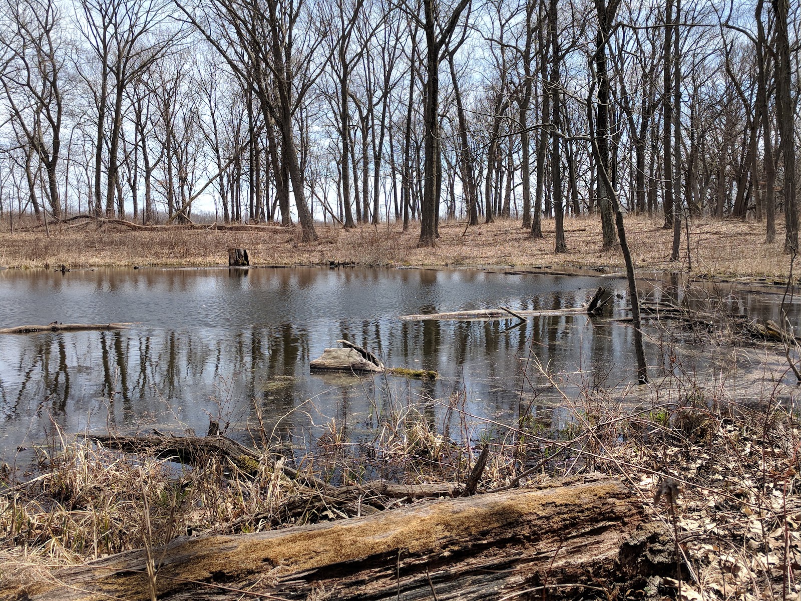 Deer Grove East