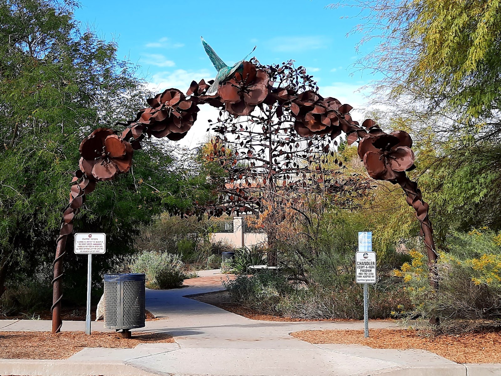 Desert Breeze Hummingbird Habitat
