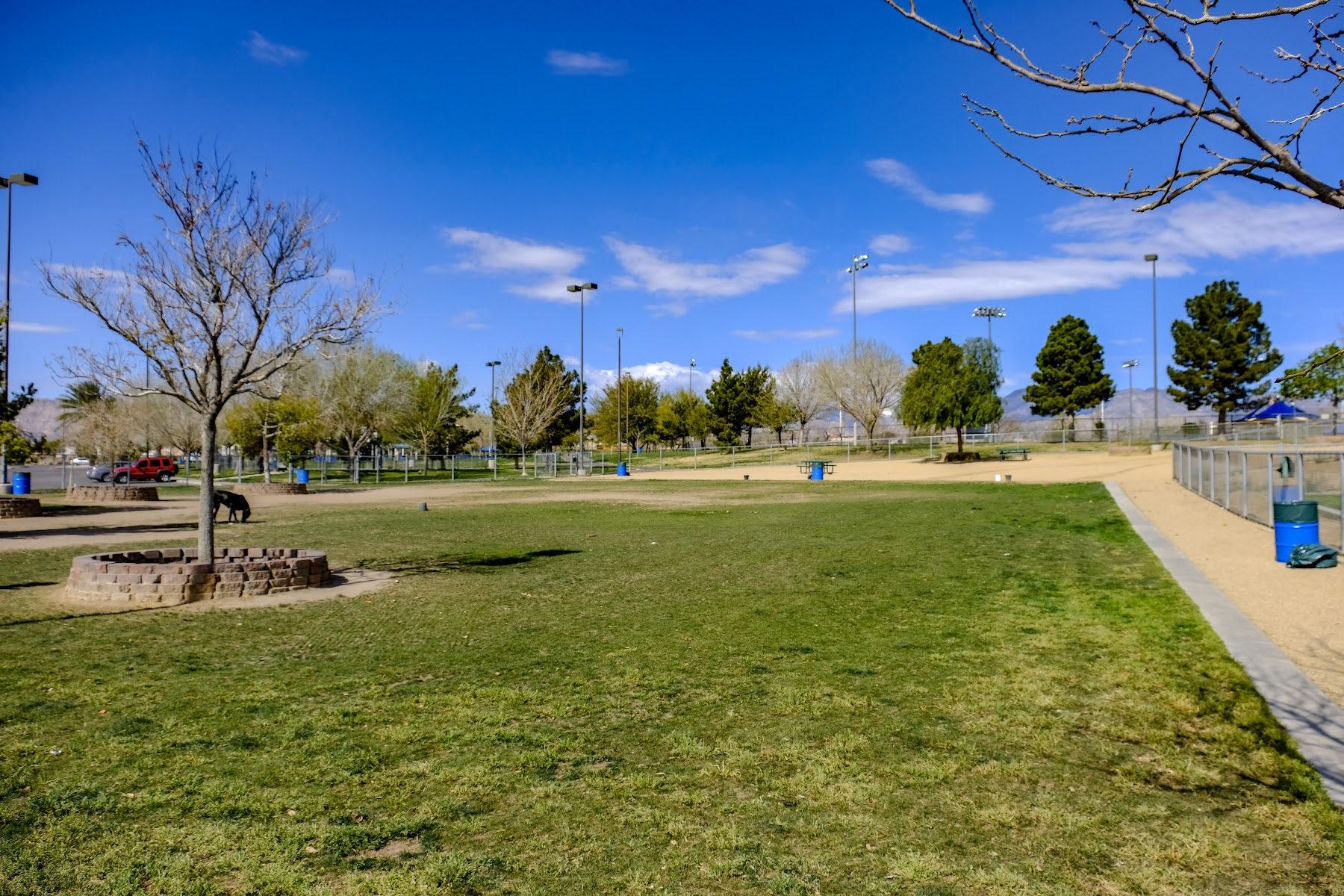 Desert Breeze Park