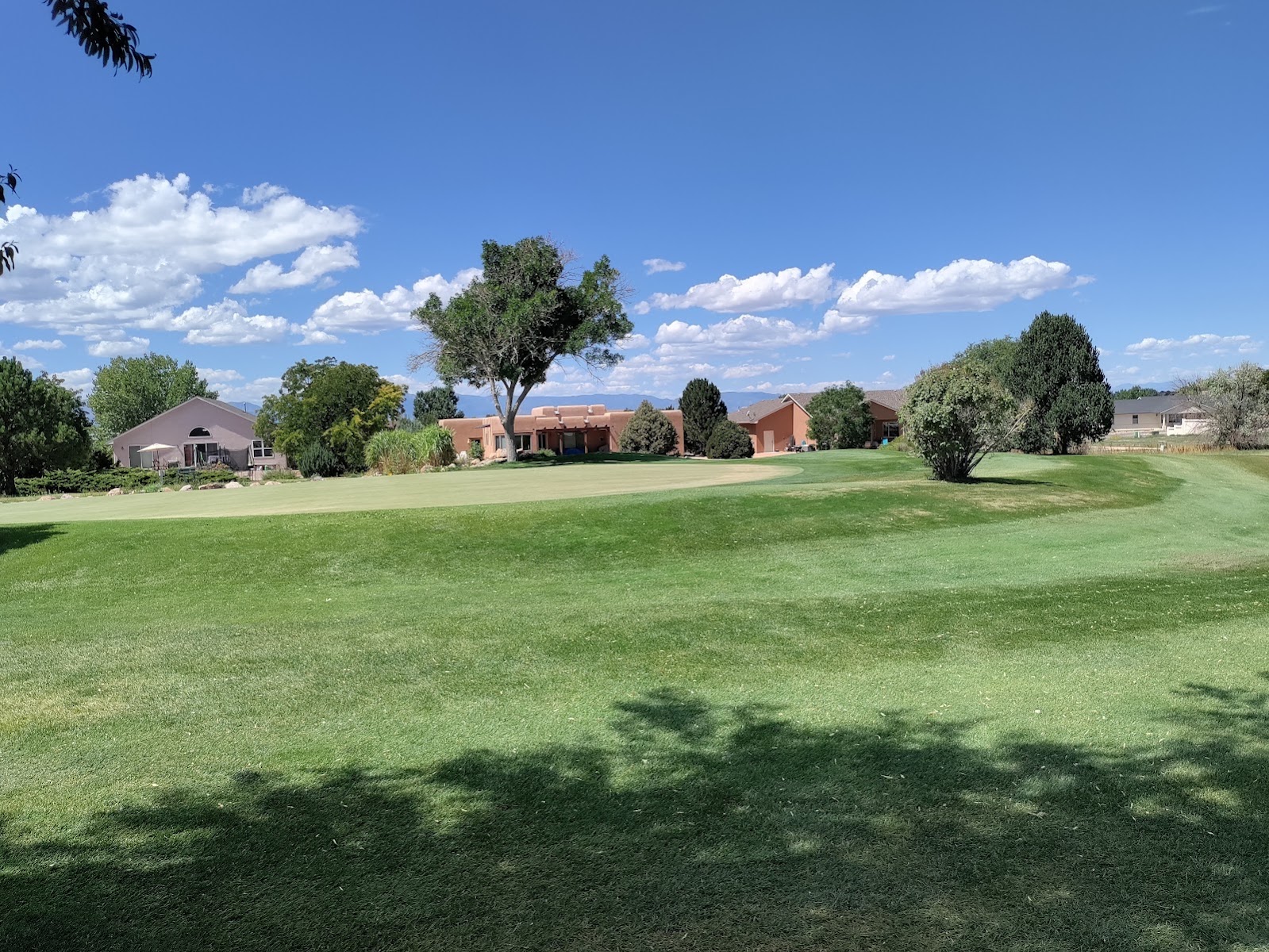 Desert Hawk At Pueblo West
