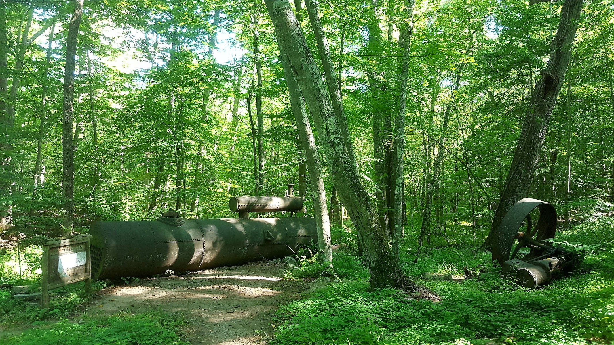 Devil's Den Preserve