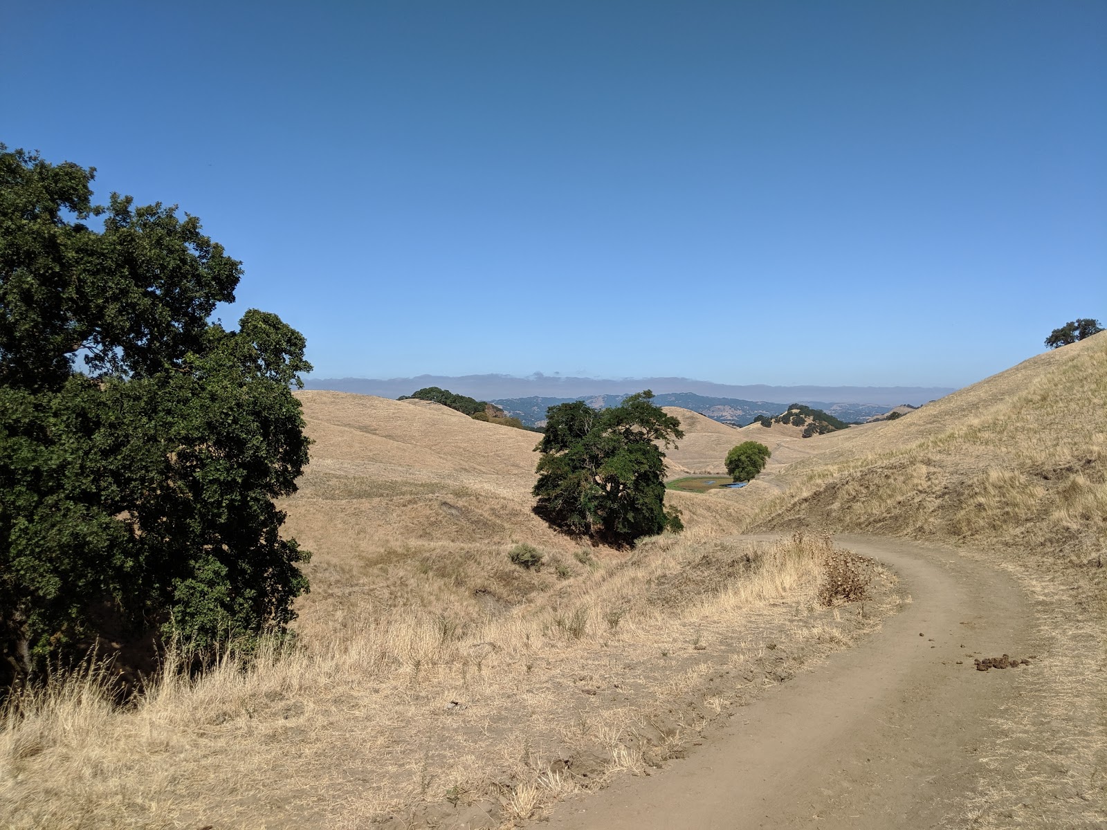 Diablo Foothills Regional Park