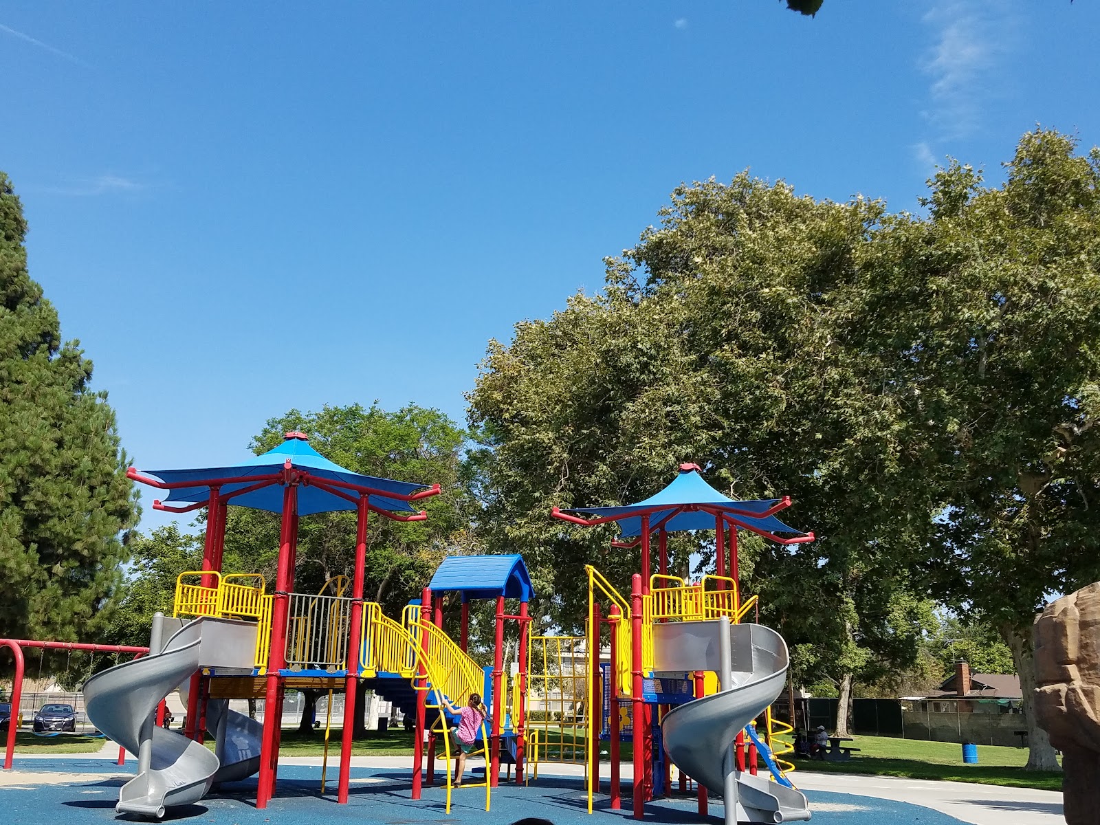 Dolphin Park
