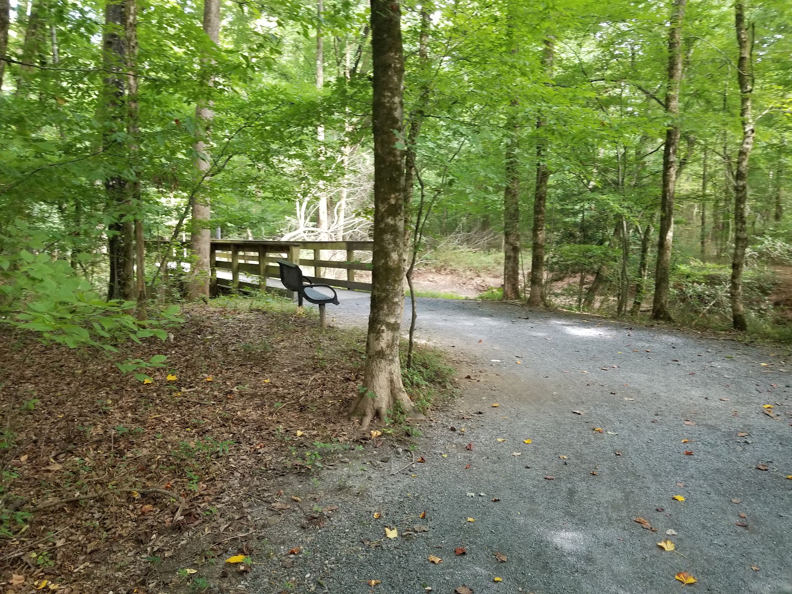 Don White Memorial Park