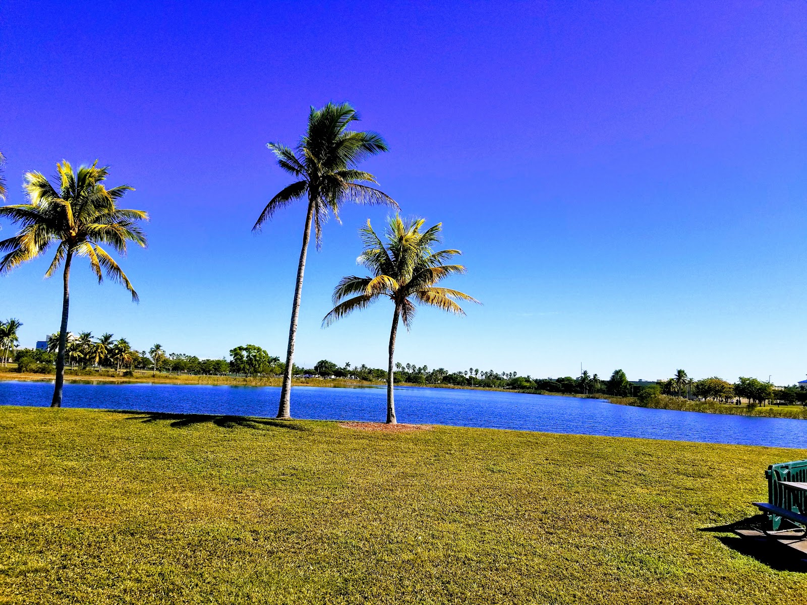 Doral Central Park