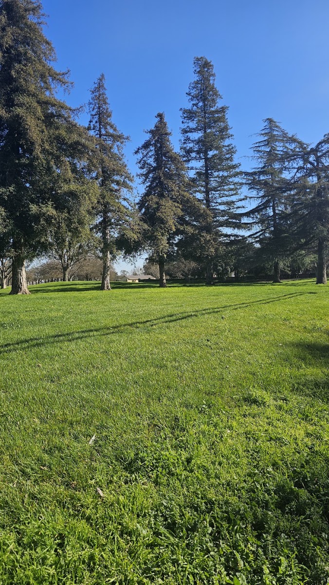 Downey Community Park