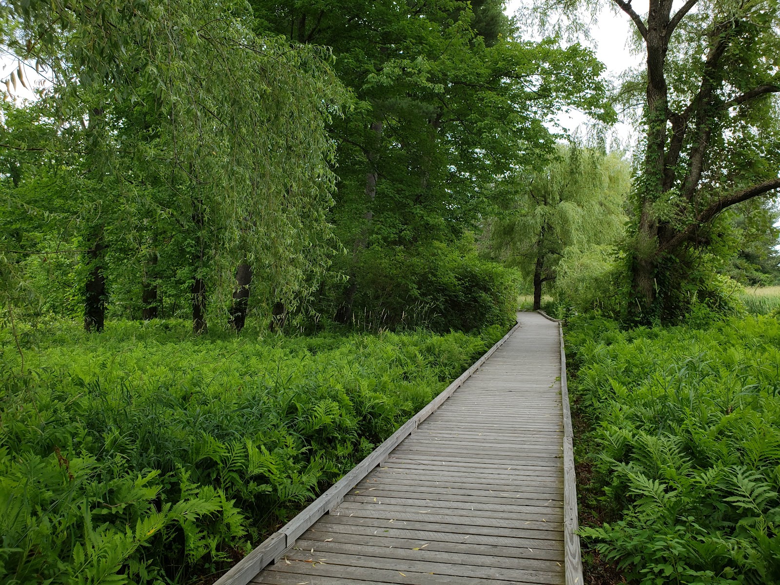 Doyle Conservation Area
