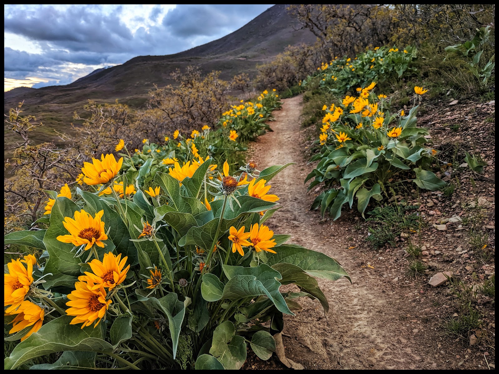 Dry Canyon Trailhead