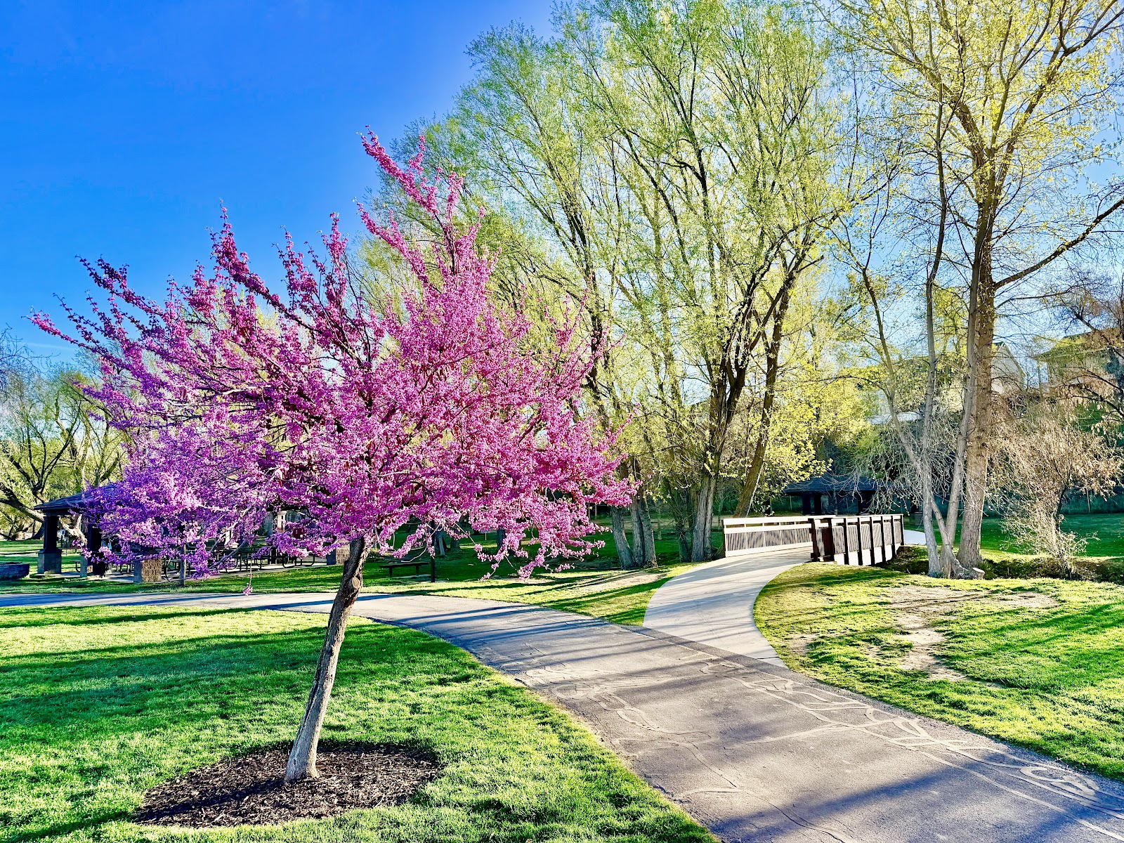 Dry Creek Park