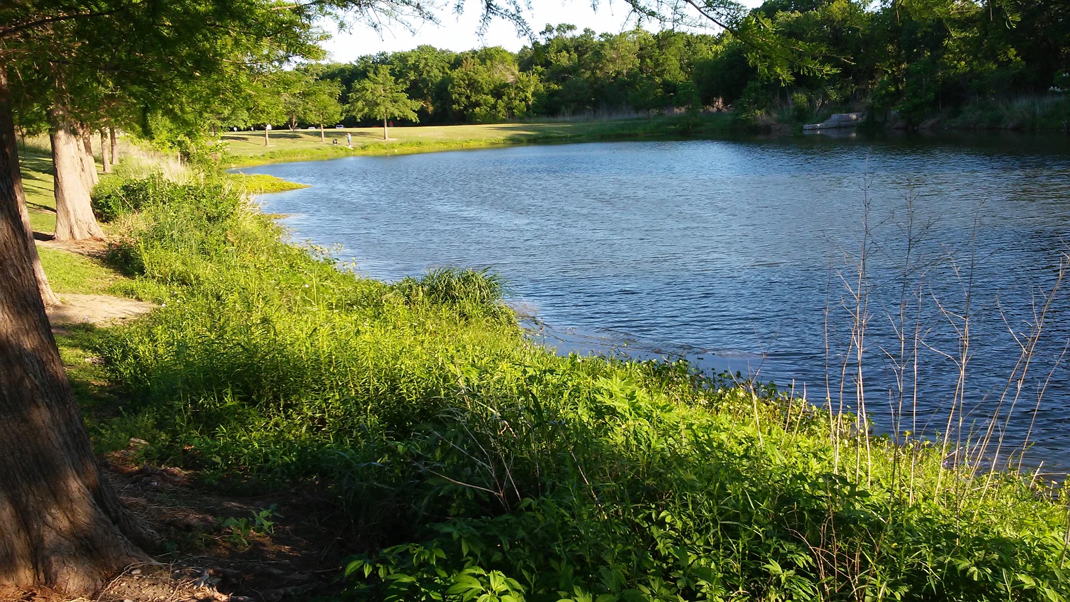 Duck Creek Park