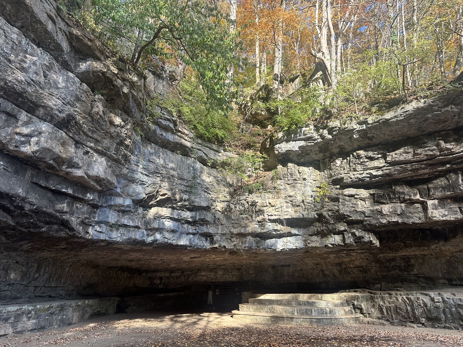 Dunbar Cave State Park
