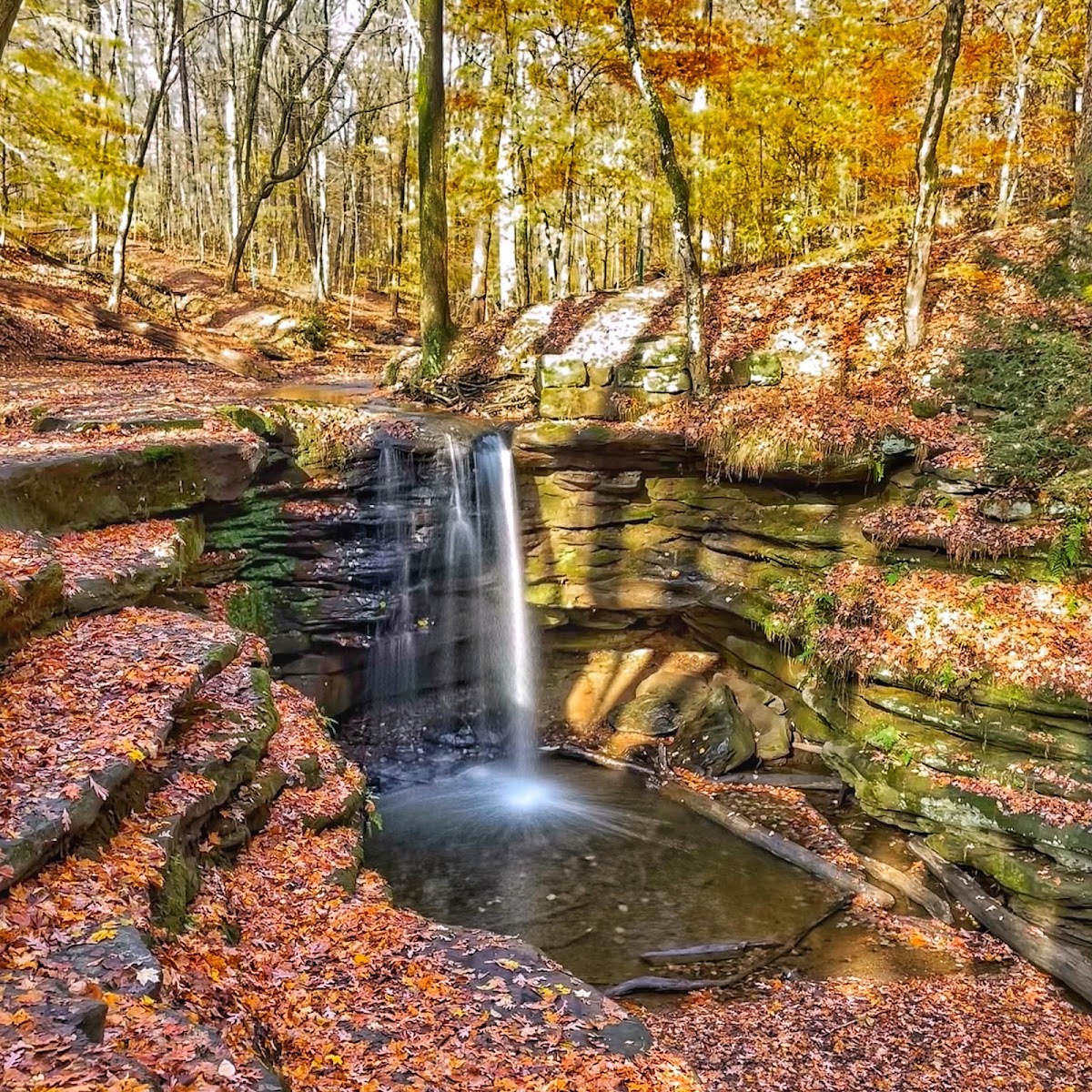 Dundee Falls