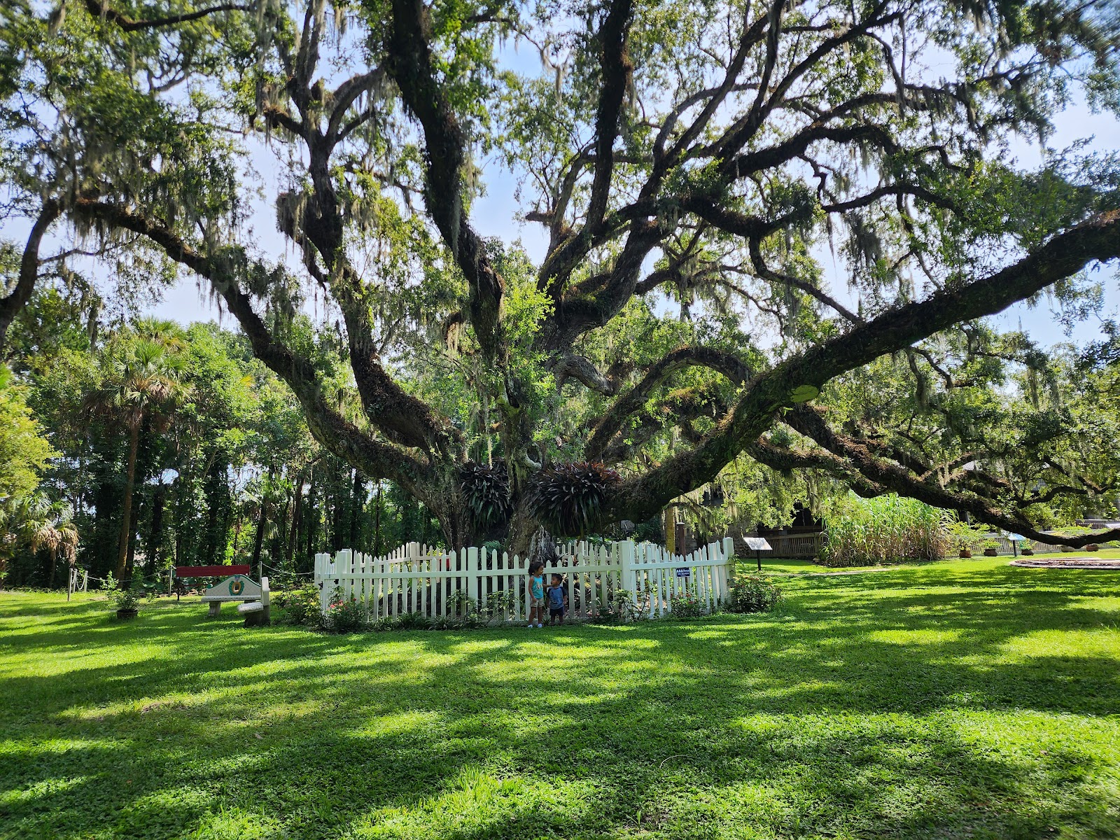 Dunlawton Sugar Mill Gardens