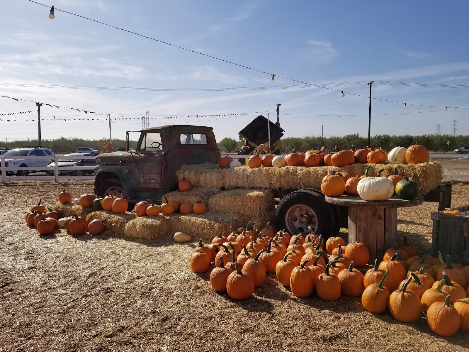 Dutch Hollow Farms