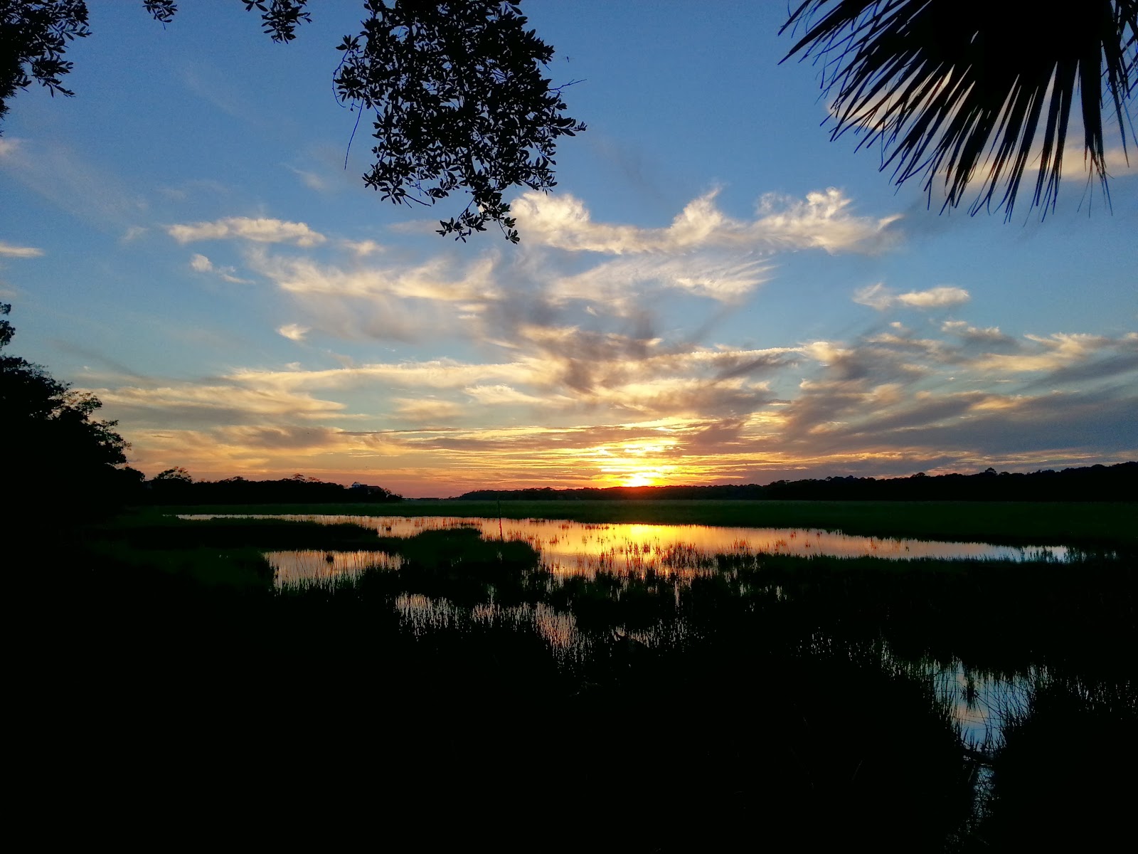 Edisto Beach State Park