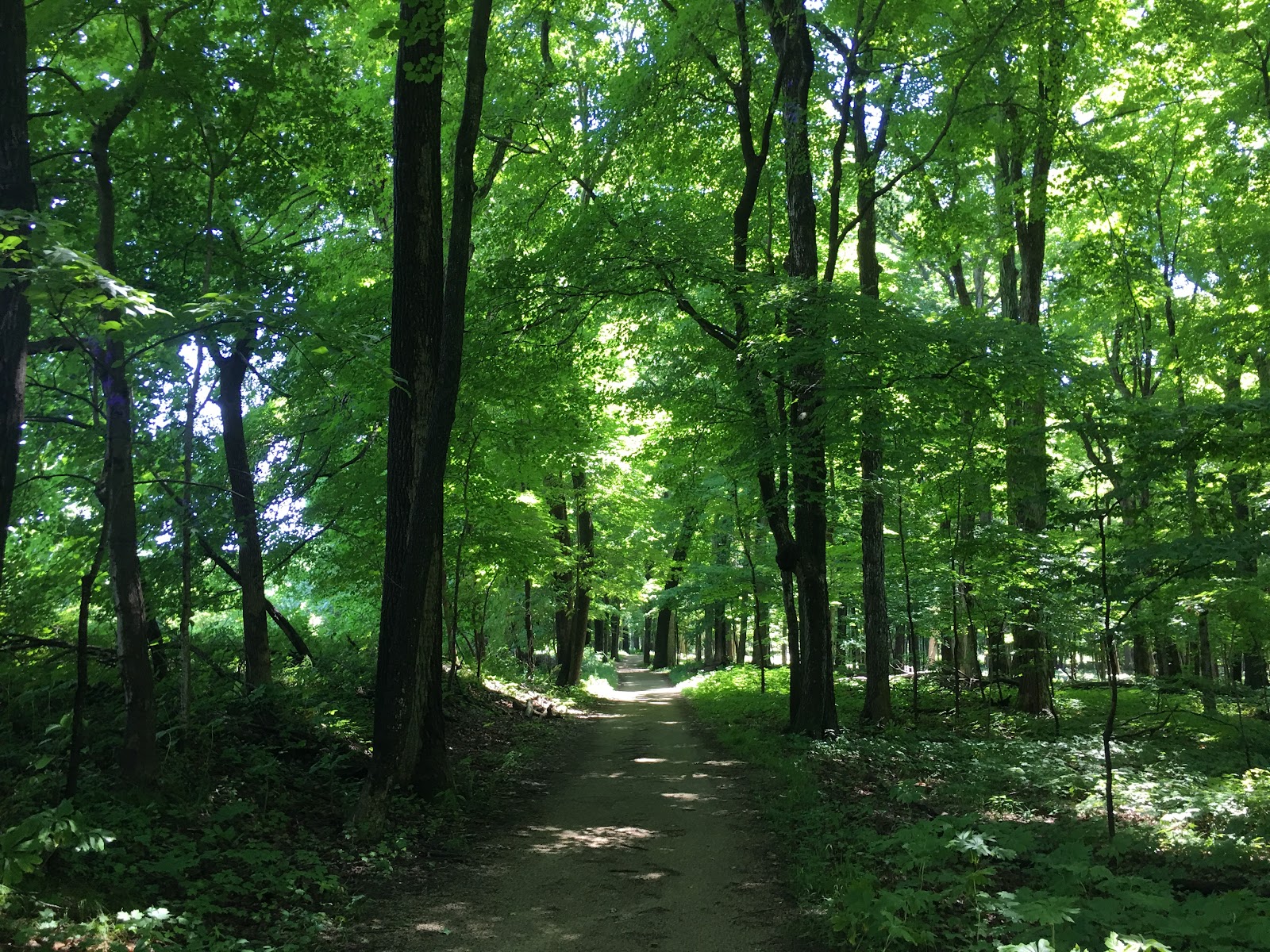 Edward L. Ryerson Conservation Area