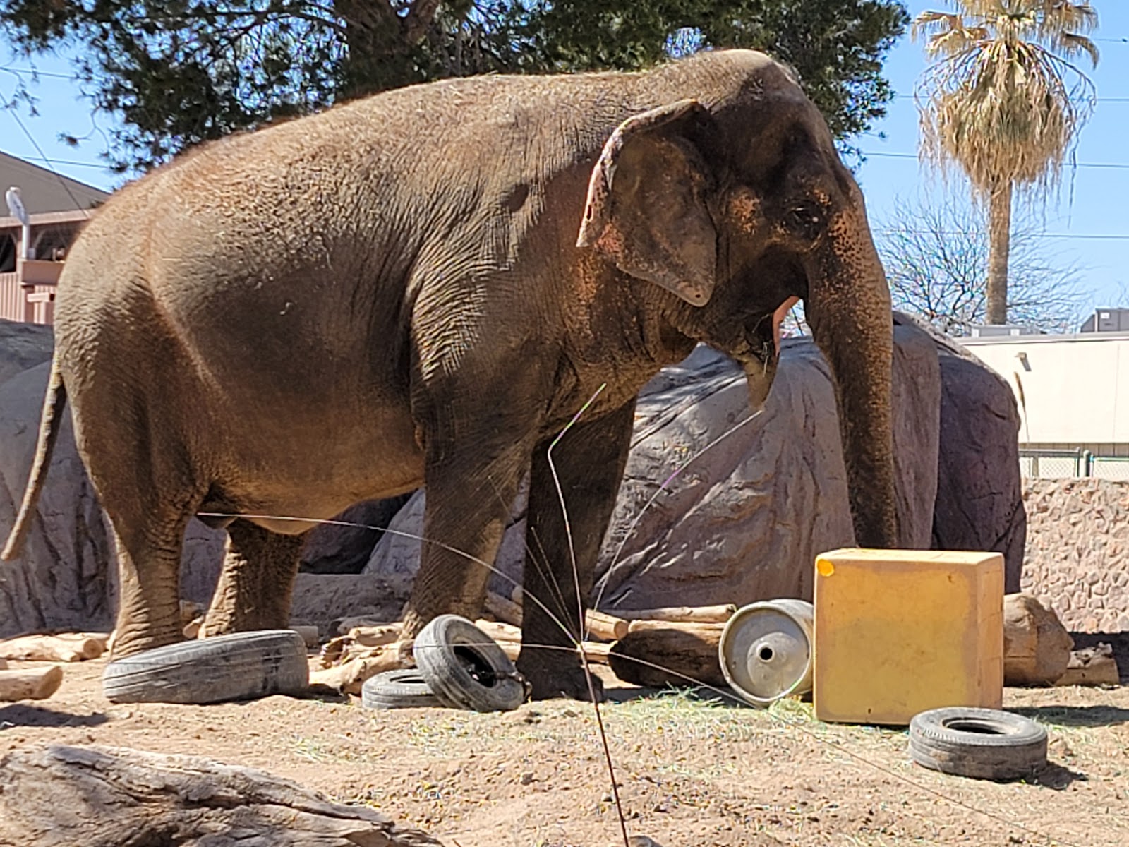 El Paso Zoo and Botanical Gardens