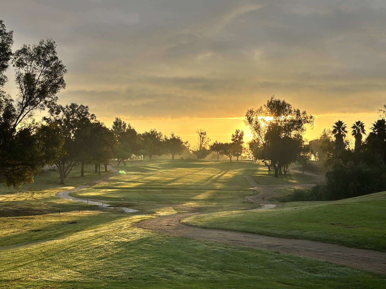 El Prado Golf Courses