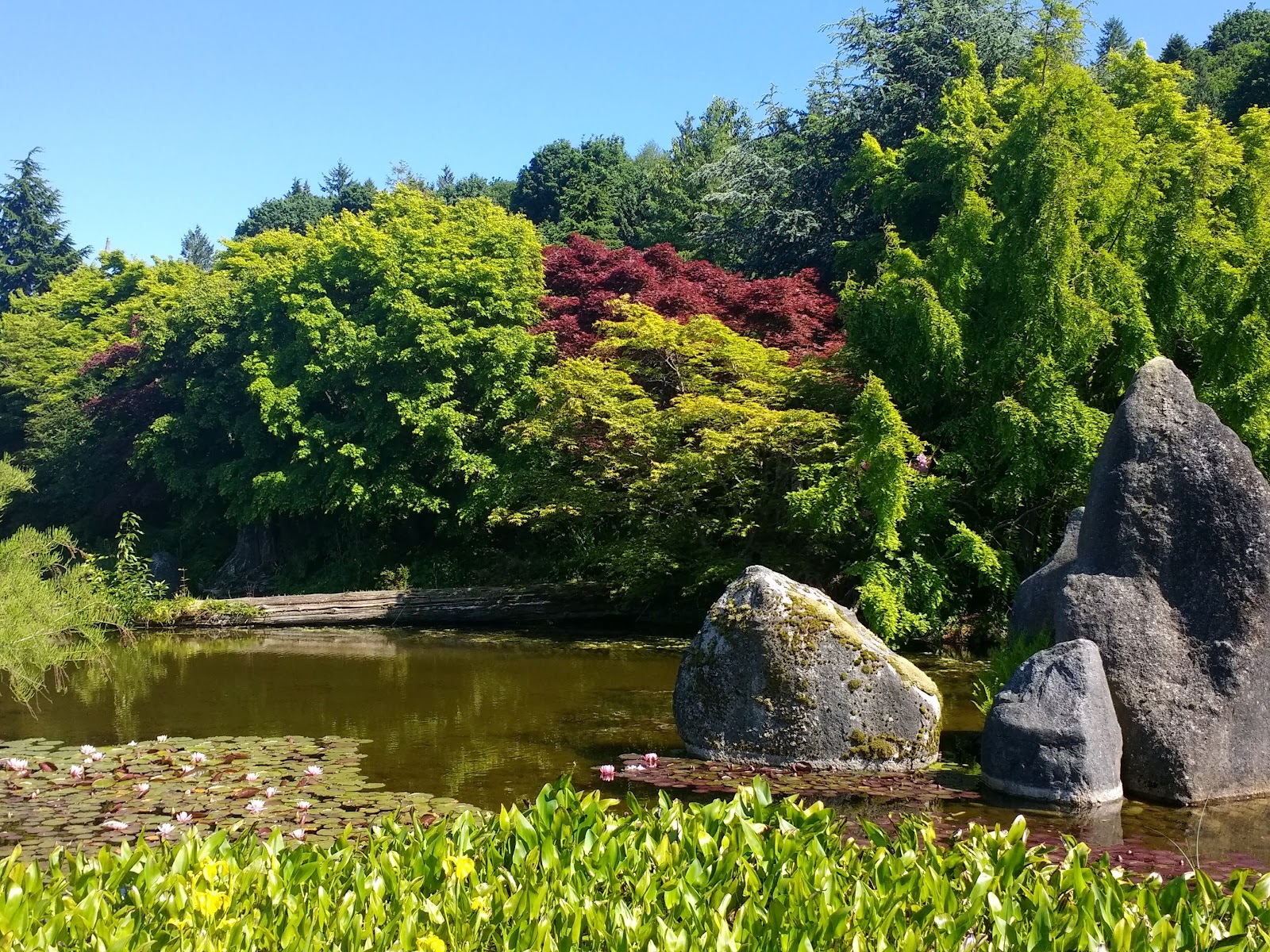 Elandan Gardens Ltd