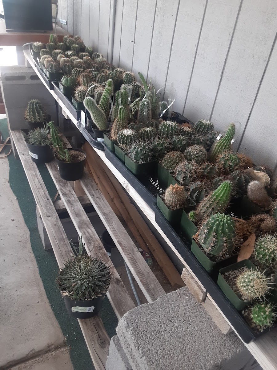 Elgin Nursery & Tree Farms