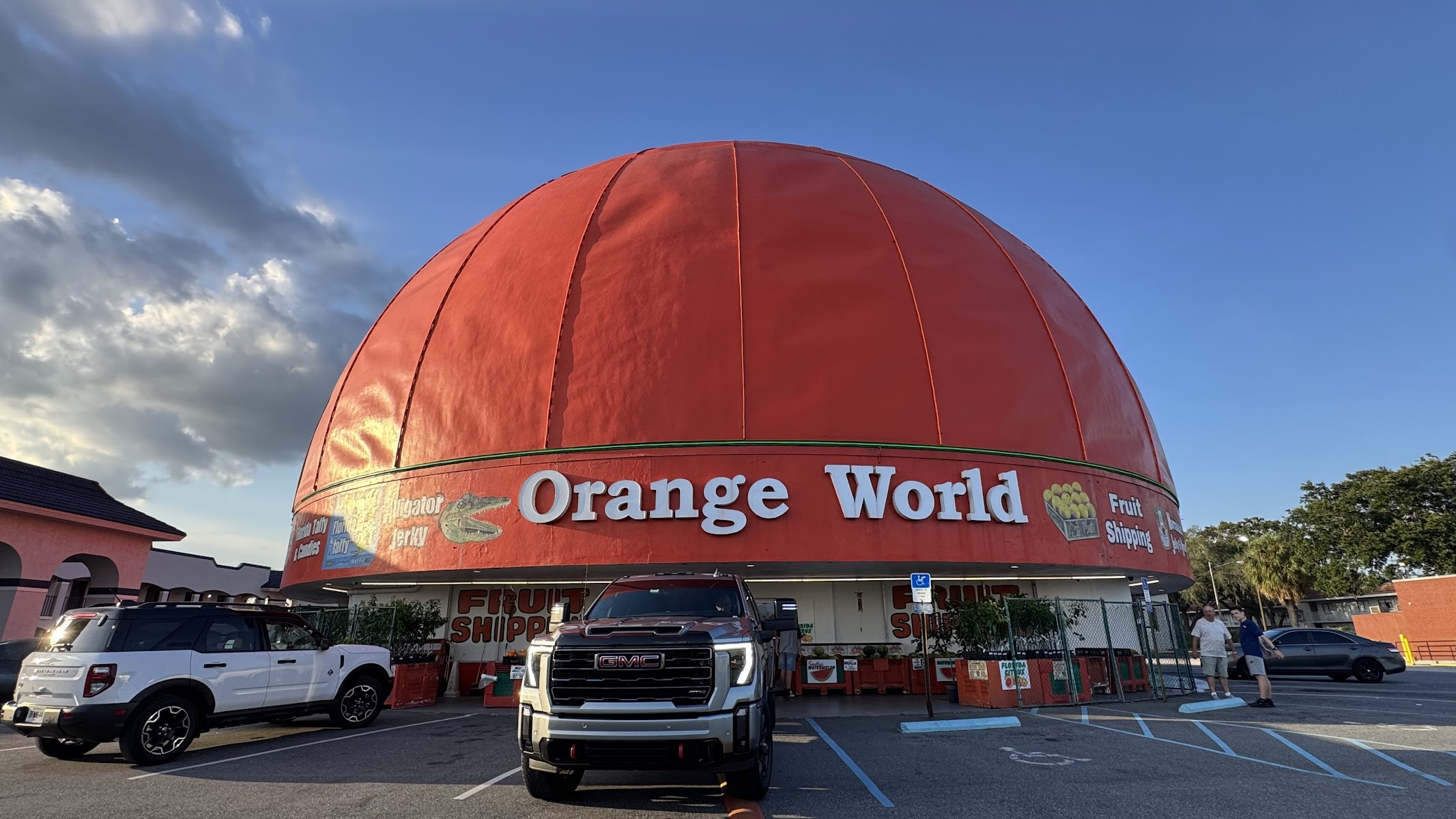 Eli’s Orange World
