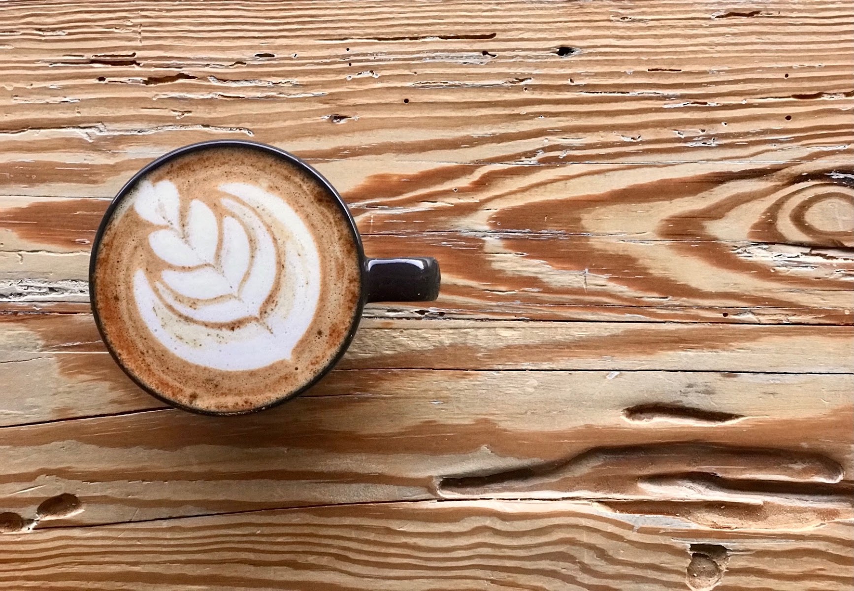 Enderly Coffee Co. Cafe & Coffee Roaster