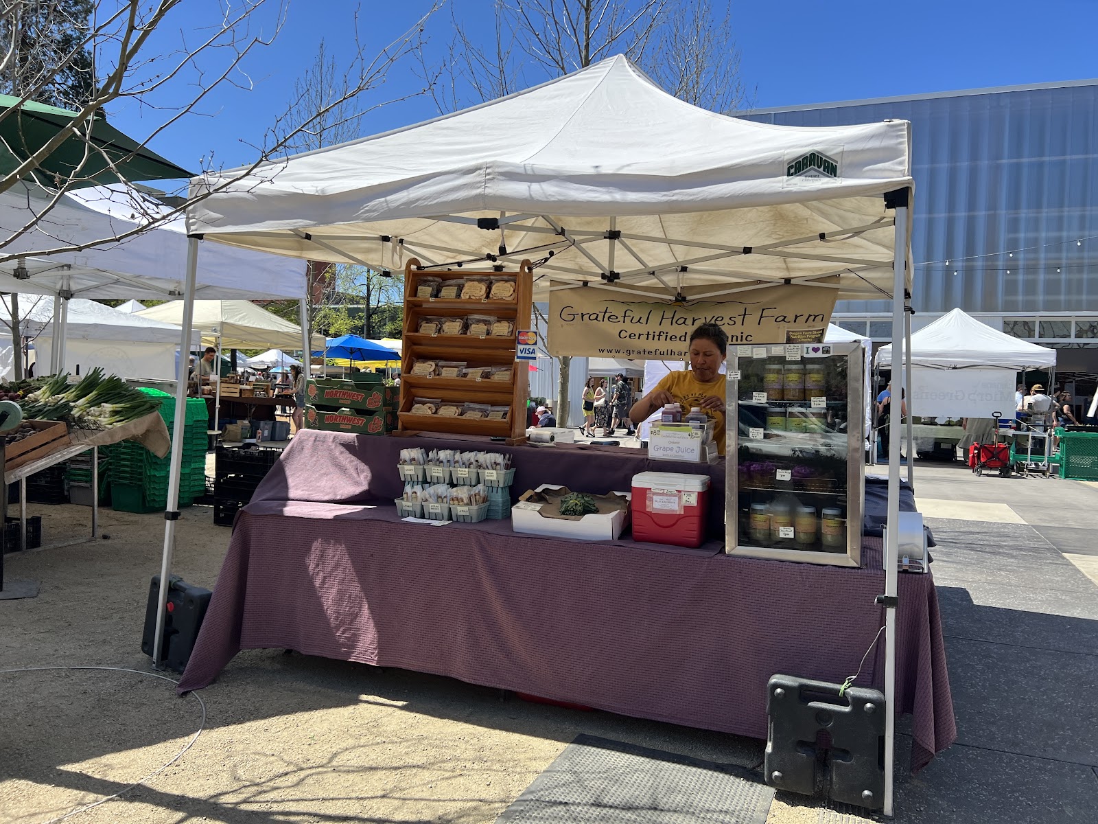 Eugene Saturday Market